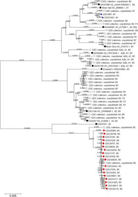 Clostridium botulinum Type B Isolated From a Wound Botulism Case Due to Injection Drug Use Resembles Other Local Strains Originating From Hawaii